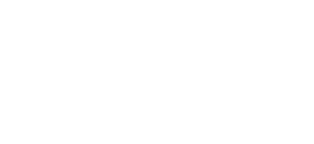 Full day